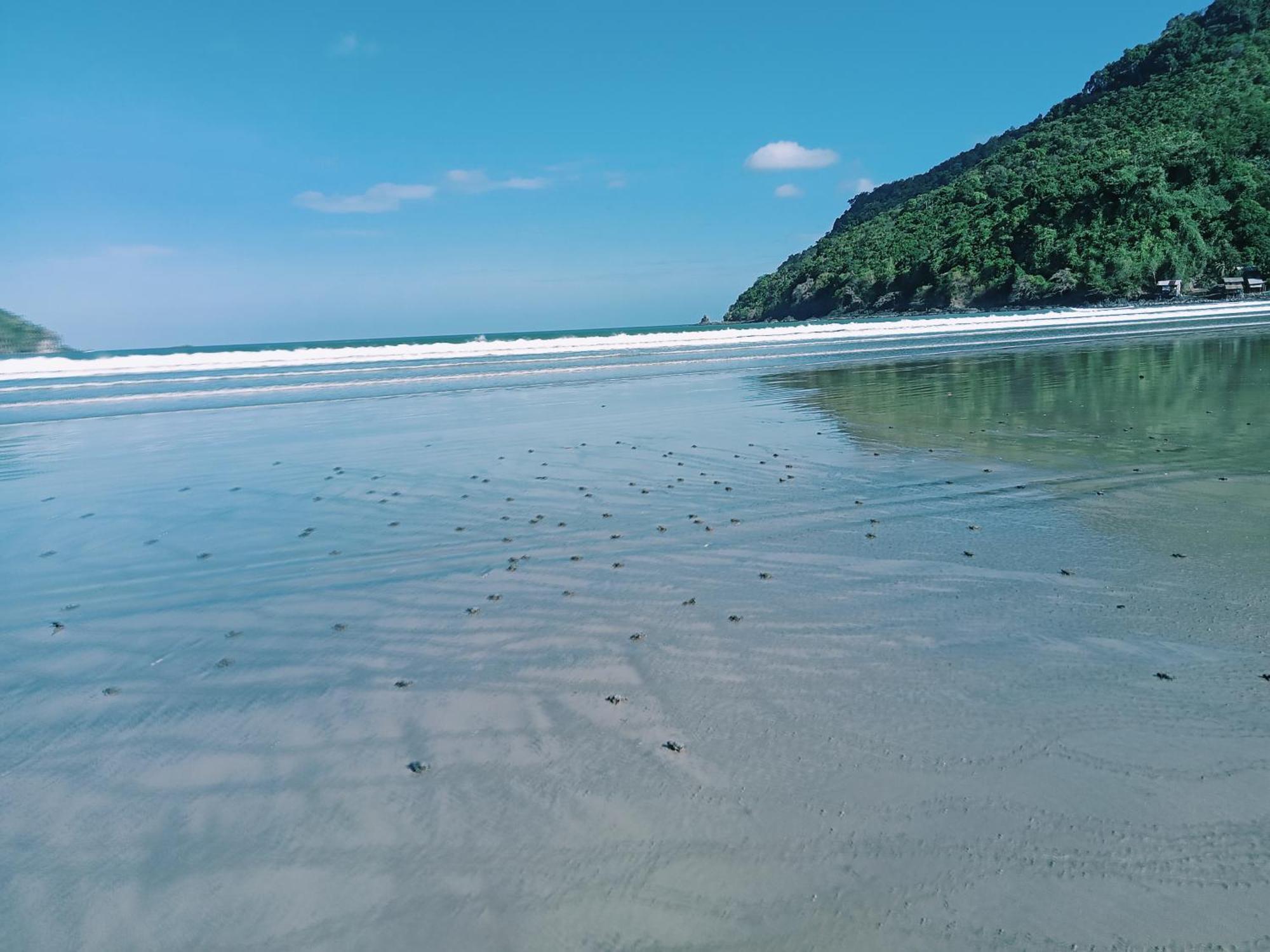 8 Star Paradise *